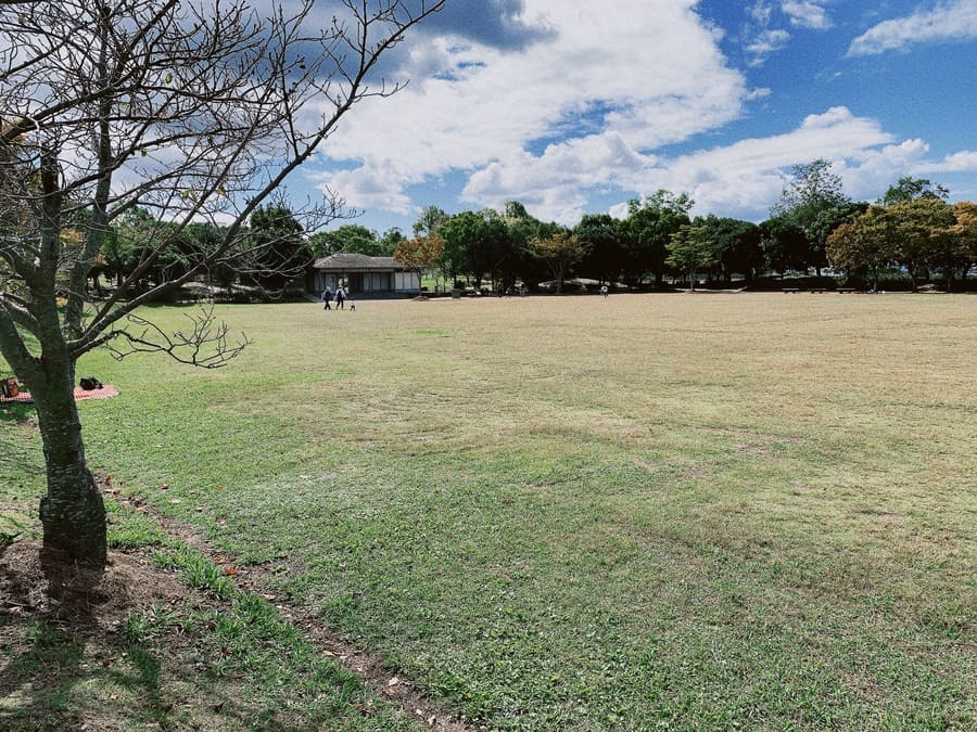 河野別府公園　広場