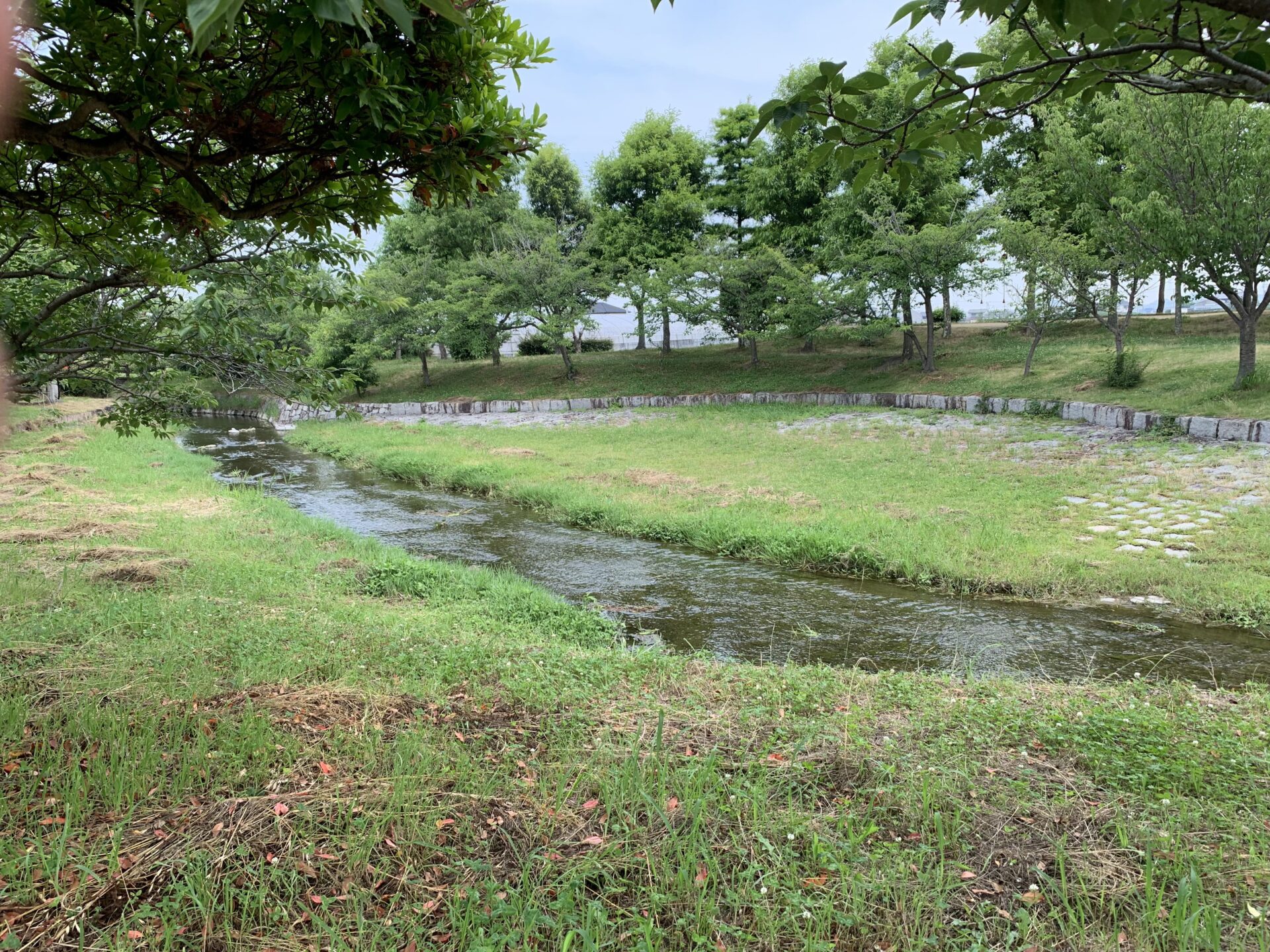 福徳泉公園　ふれあいの池