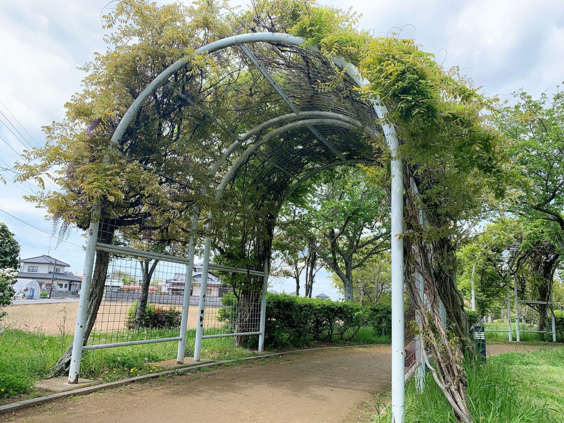 福徳泉公園　アーチフラワー